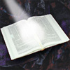Torah Study